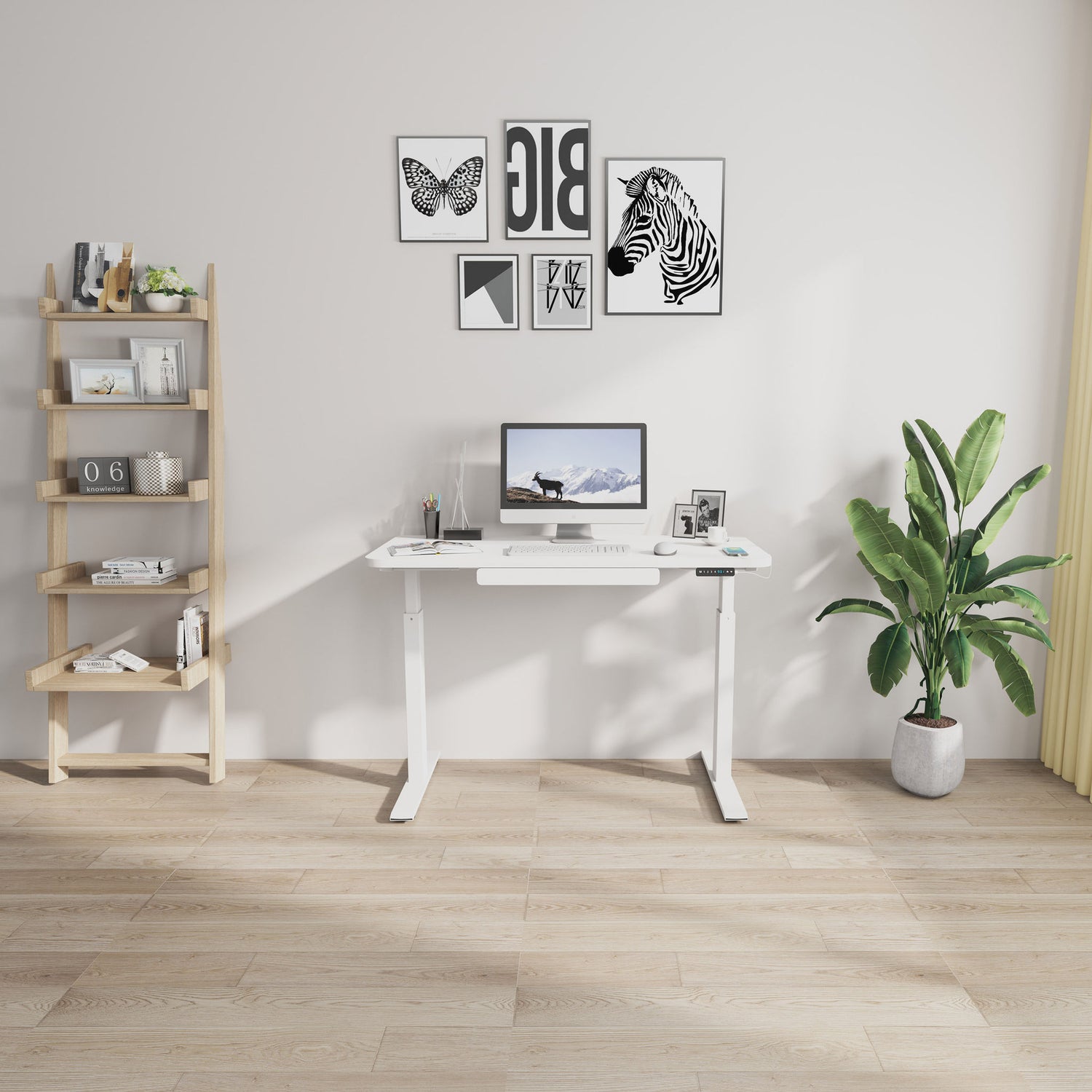 Motionwise 121.9 cm x 61 cm (48 in. x 24 in.) Height Adjustable Desk