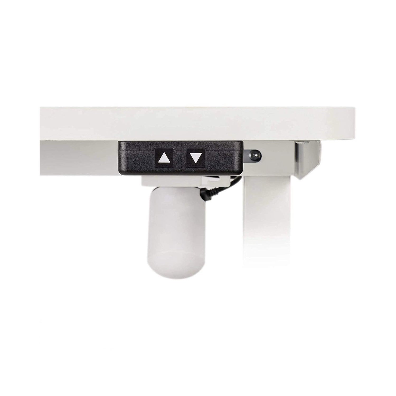 Motionwise 121.9 cm x 61 cm (48 in. x 24 in.) Single Motor Height Adjustable Desk