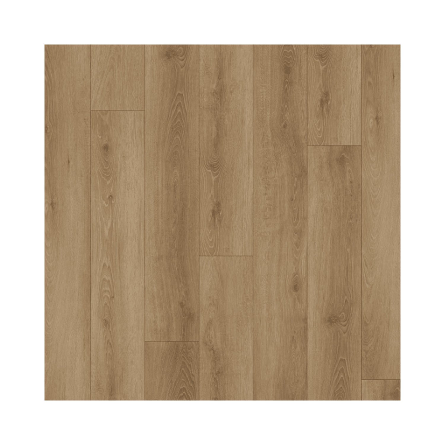 Kairos Rouge Park 22.86 cm (9.0 in.) WPC Vinyl Flooring.