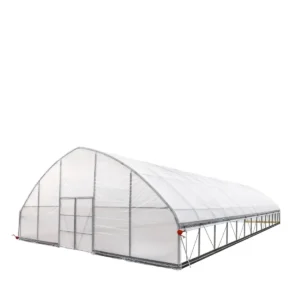 30' x 60' Commercial Tunnel Greenhouse with 6 Mil Clear Poly Covers and Roll-Up Sides TMG-GH3060