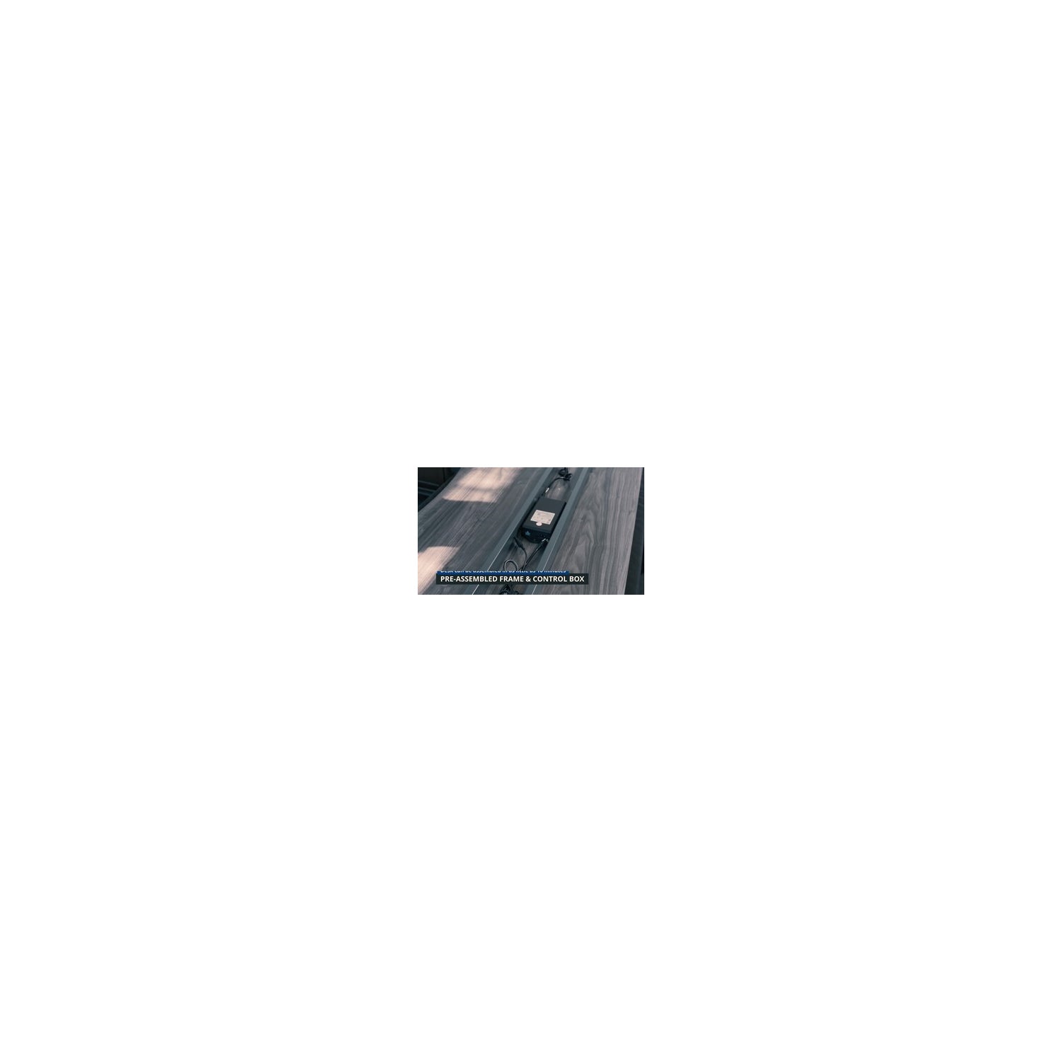 Motionwise 121.9 cm x 61 cm (48 in. x 24 in.) Height Adjustable Desk