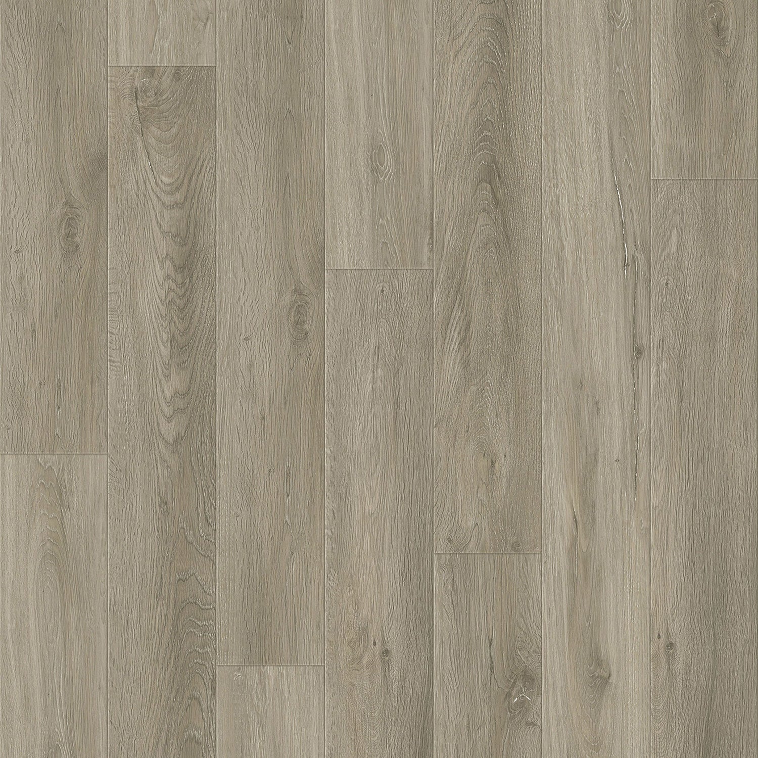 Kairos Rouge Park 22.86 cm (9.0 in.) WPC Vinyl Flooring.