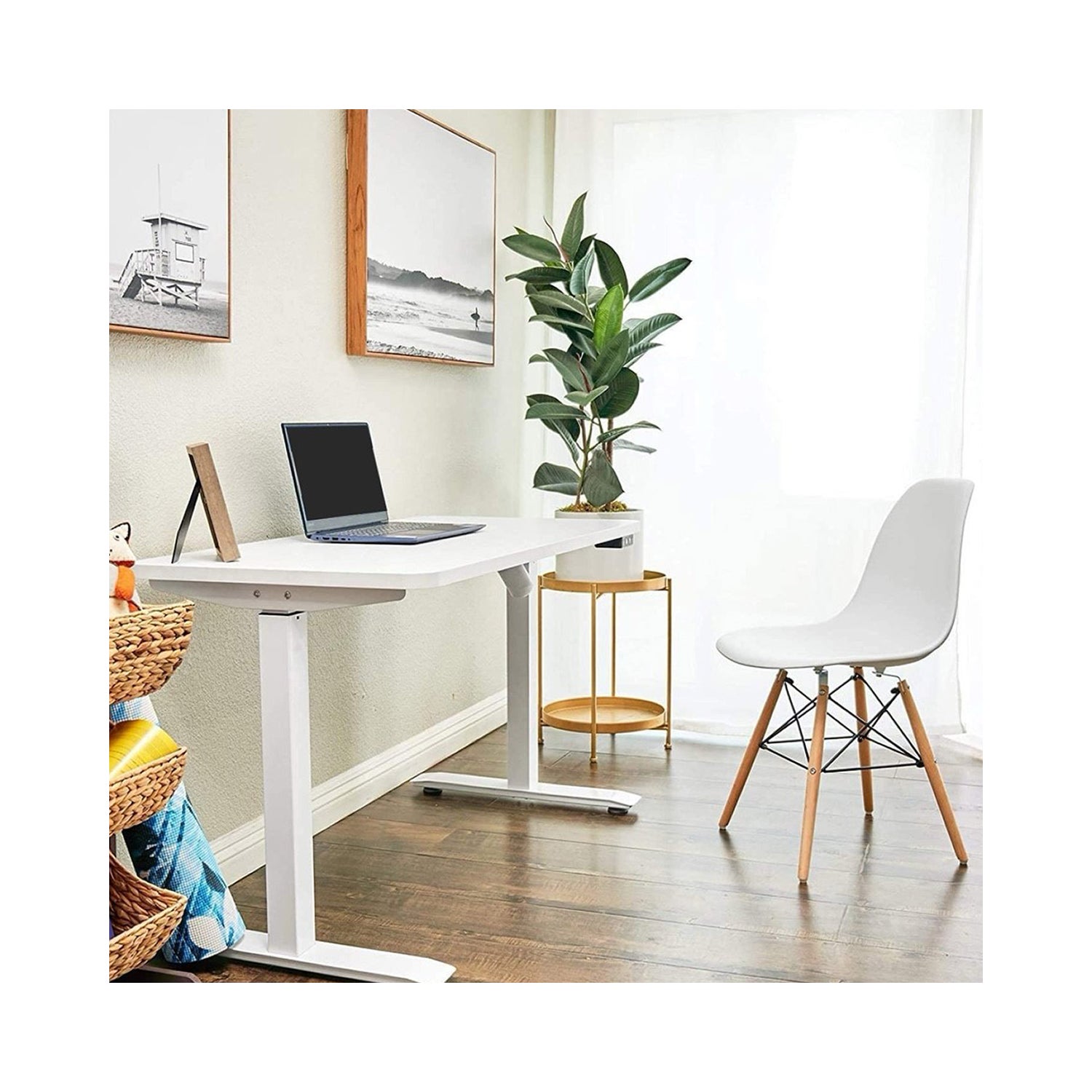 Motionwise 121.9 cm x 61 cm (48 in. x 24 in.) Single Motor Height Adjustable Desk