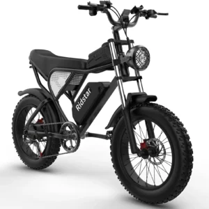 Electric Bike for Adults Ridstar, 20" Fat Tire Electric Motorcycle,1000W Electric Bike with Removable 48V/20Ah Battery E-Bike Shimano 7 Full Suspension Electric Bicycle