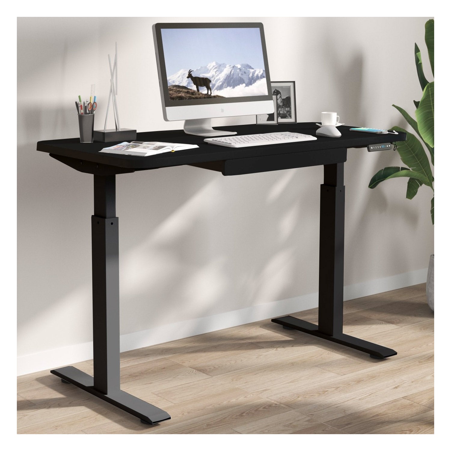 Motionwise 121.9 cm x 61 cm (48 in. x 24 in.) Height Adjustable Desk