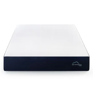 Zinus Spa Sensations Cloud 10 Inch Firm Memory Foam Mattress