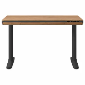 Nico Case 117 cm (46.1 in.) Height Adjustable Lift Desk, Black Frame