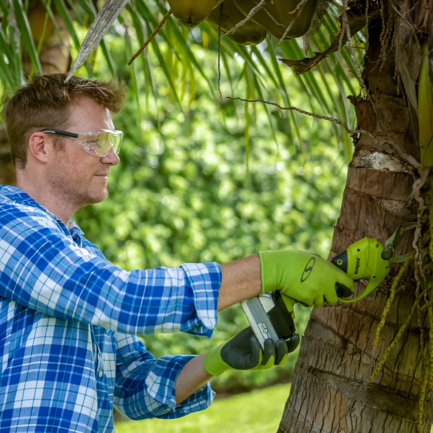 Sun Joe 24-Volt IONMAX Cordless Handheld and Long-Reach Pruner and Lopper Tool