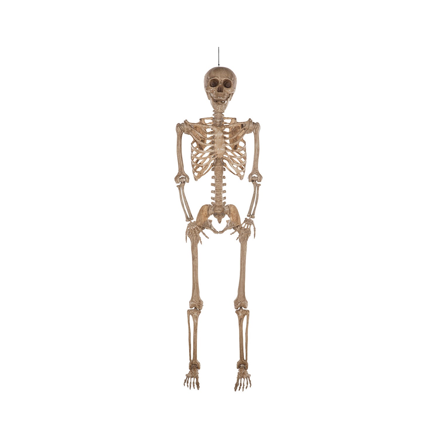 Halloween - 2 m (7ft) Poseable Skeleton
