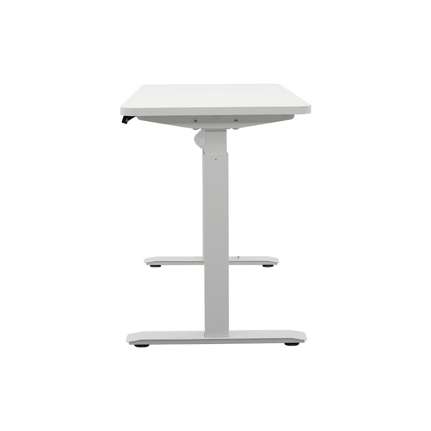 Motionwise 121.9 cm x 61 cm (48 in. x 24 in.) Single Motor Height Adjustable Desk