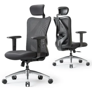 SIHOO M18 Office Chair, Mesh Computer Ergonomic Chair with Adjustable Lumbar Support, High Back Chair for Big and Tall