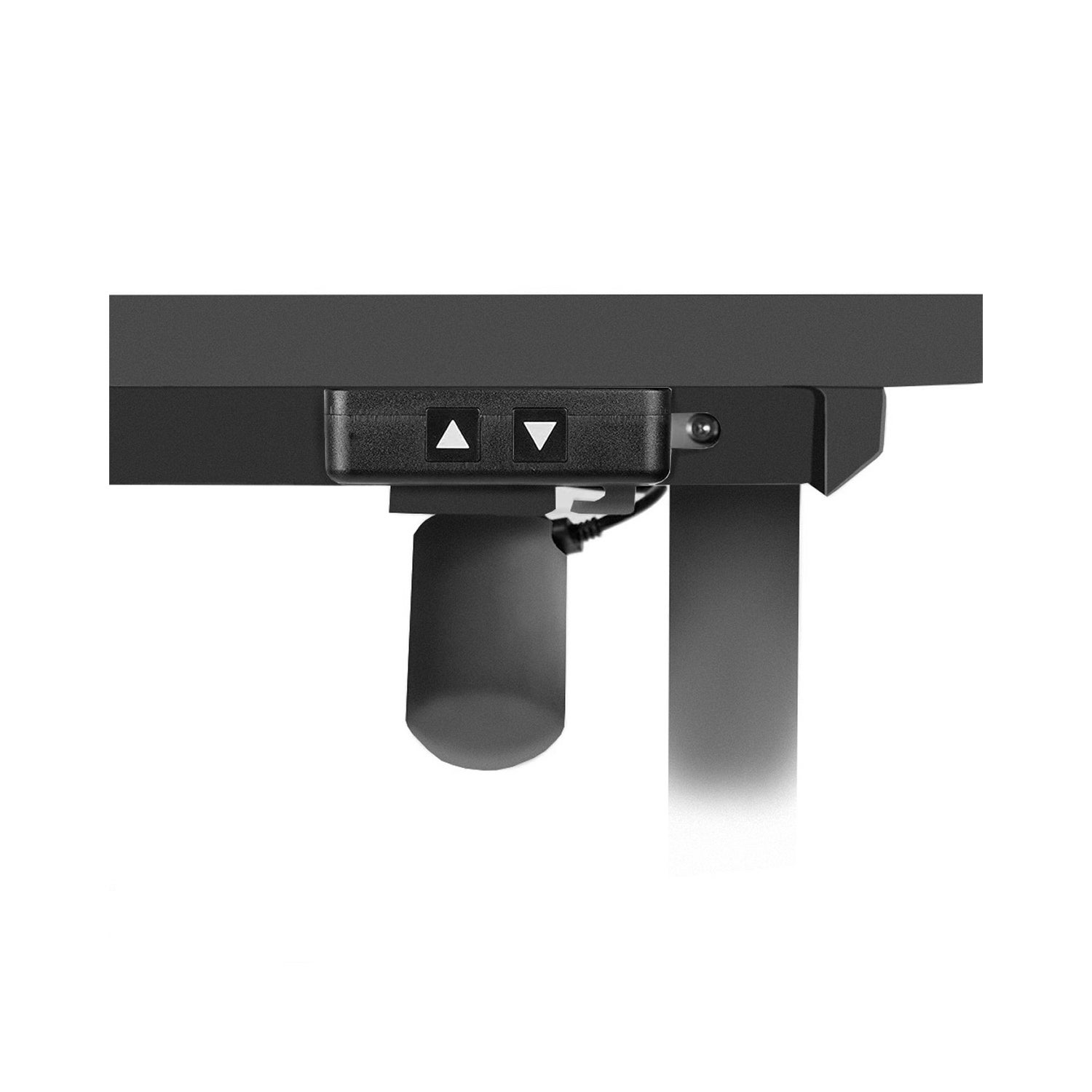 Motionwise 121.9 cm x 61 cm (48 in. x 24 in.) Single Motor Height Adjustable Desk