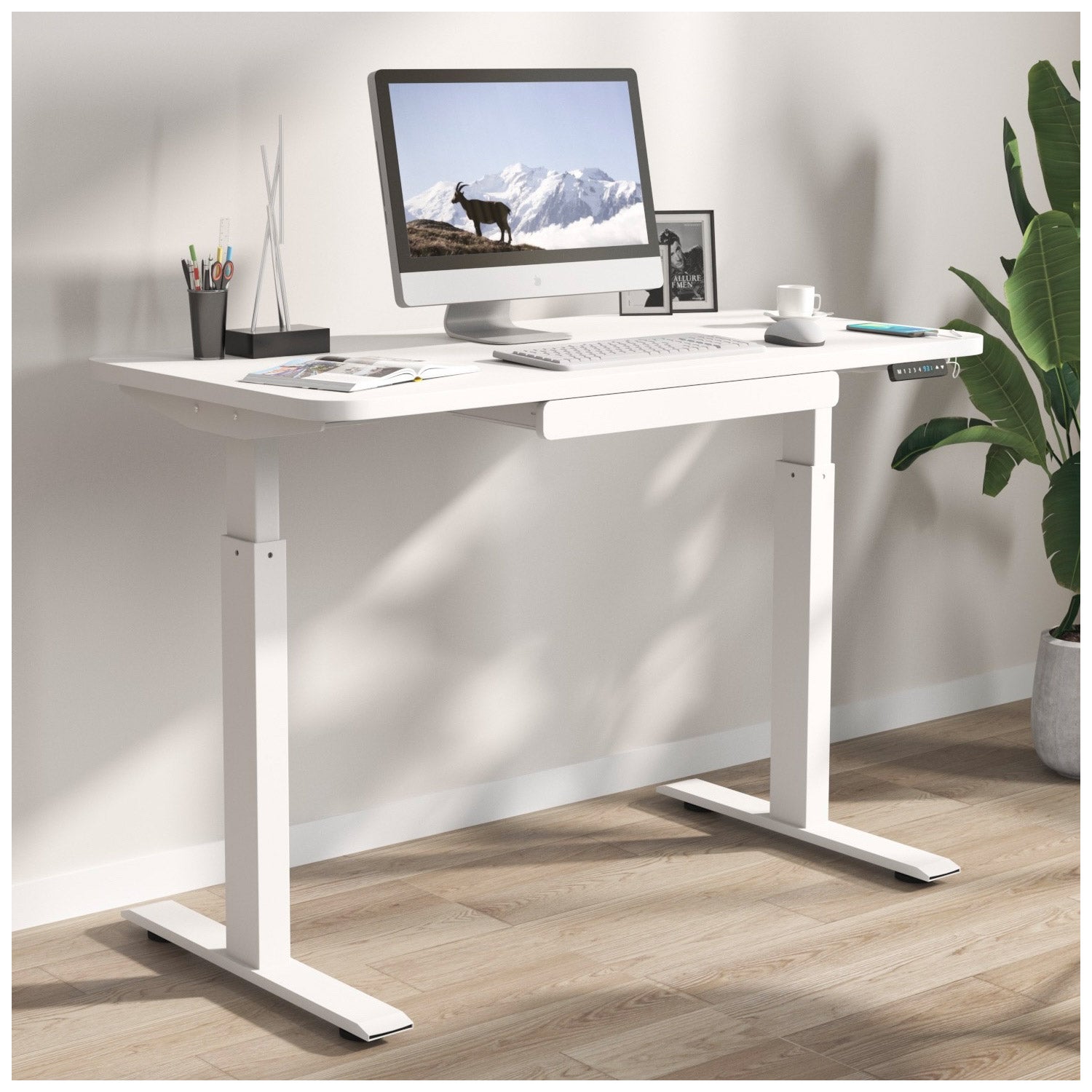 Motionwise 121.9 cm x 61 cm (48 in. x 24 in.) Height Adjustable Desk