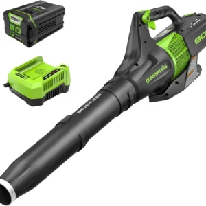 Greenworks 80V (145 MPH / 580 CFM / 75+ Compatible Tools) Cordless Brushless Axial Leaf Blower, 2.5Ah Battery and Charger Included